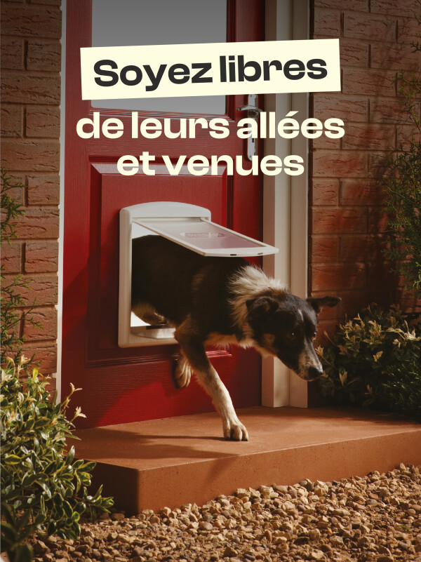PORTES POUR CHIEN