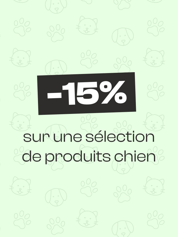 PROMOTIONS CHIEN
