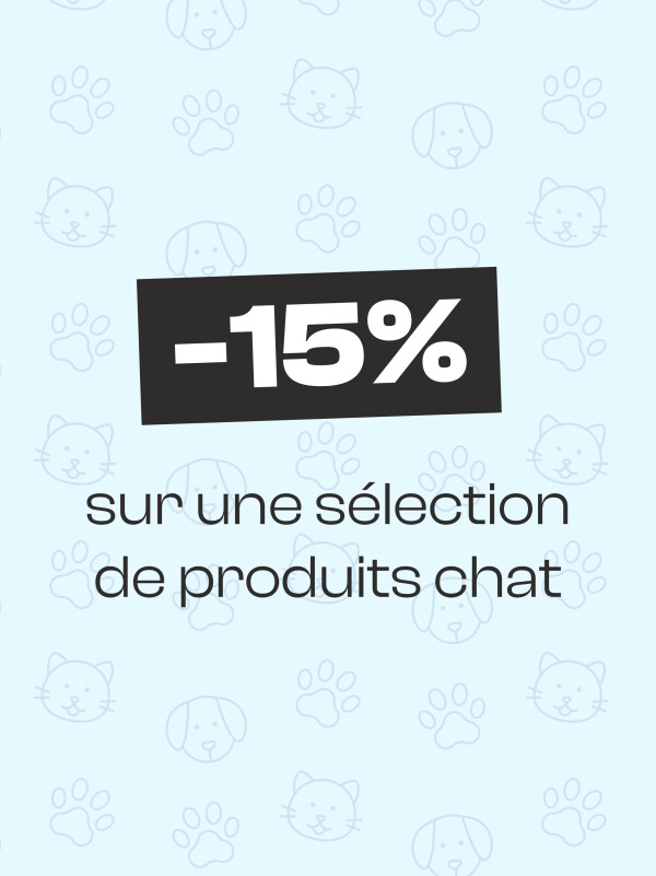 PROMOTIONS CHAT