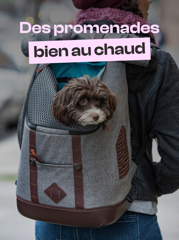 Promenade au chaud